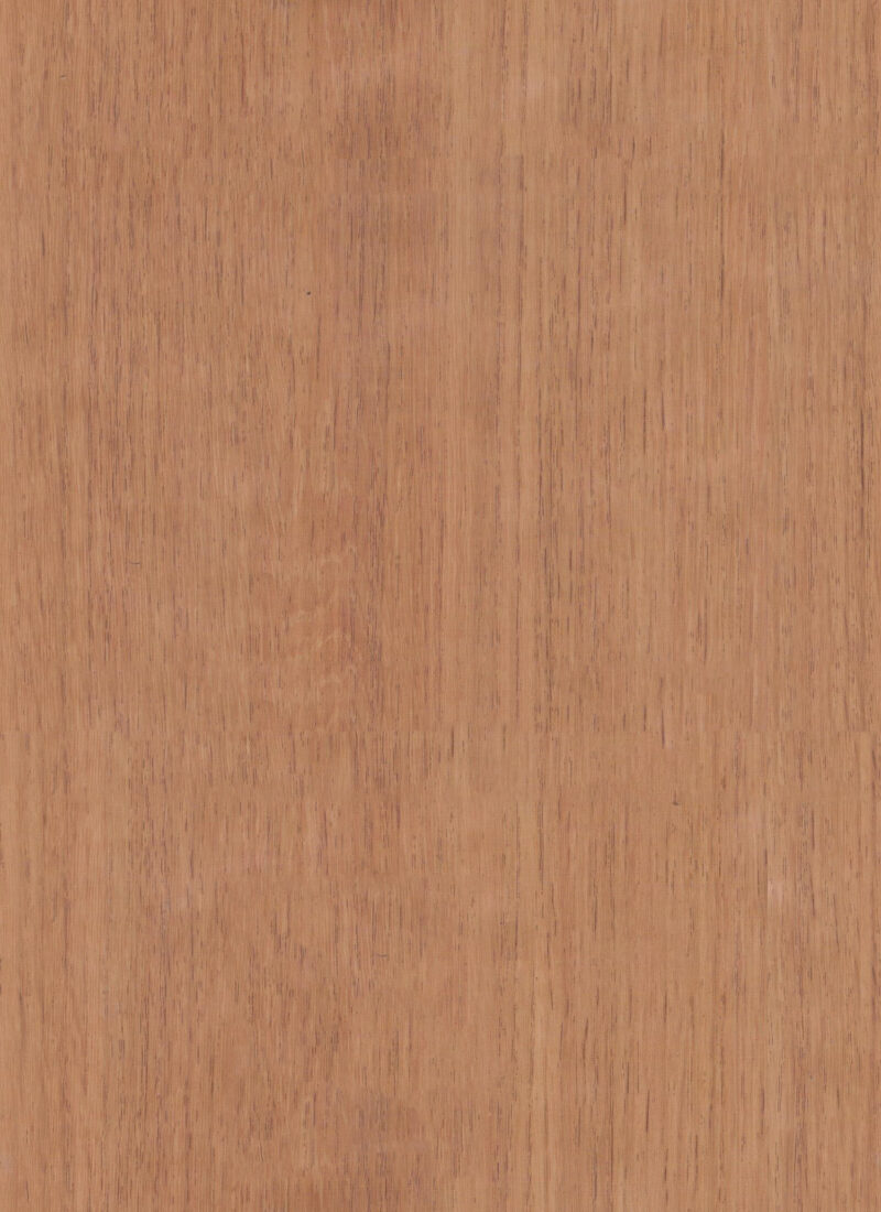 wall-panel-natural-wood-colour