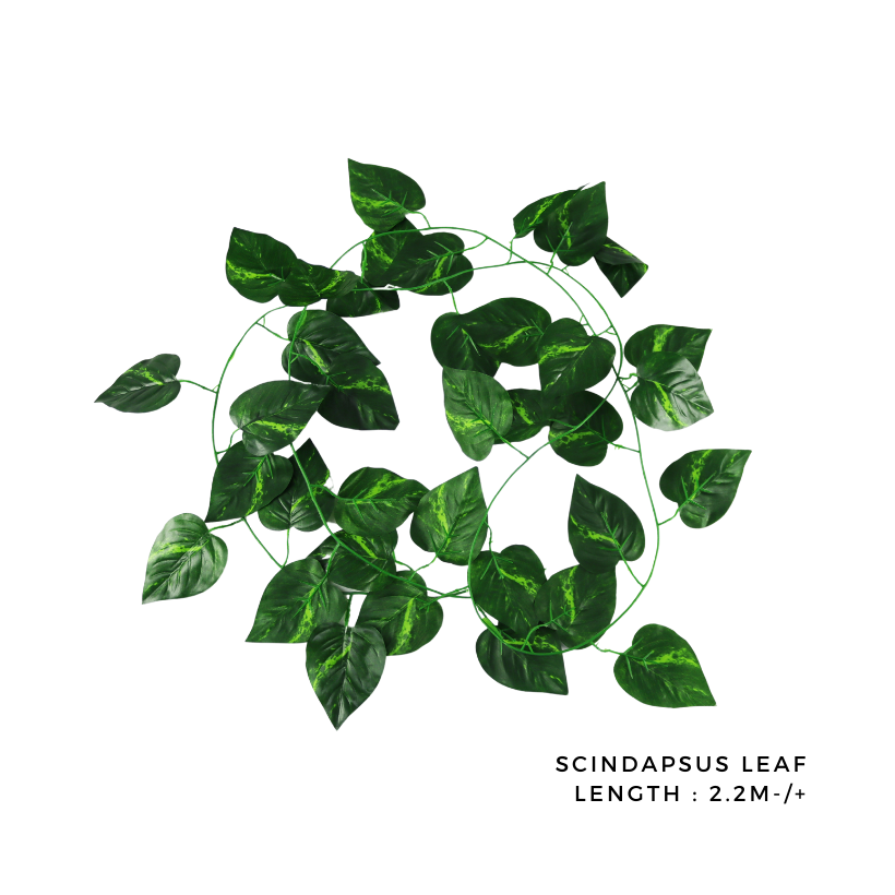 [2.2m] Scindapsus Artificial Leaf Vine Wall Decoration / Daun Hiasan