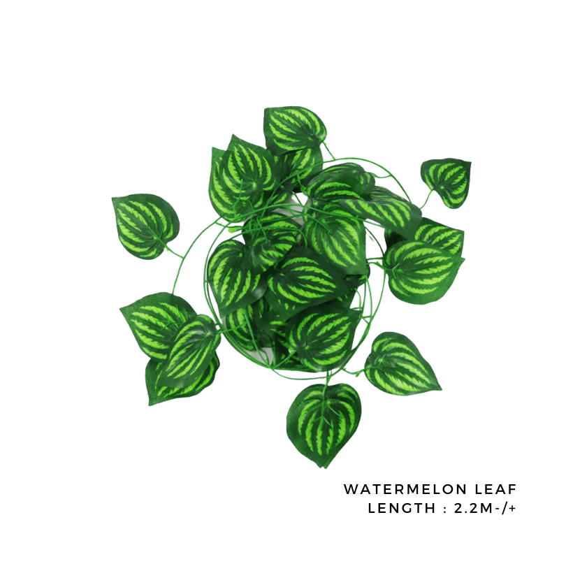 [2.2m] Watermelon Artificial Leaf Vine Wall Decoration / Daun Palsu