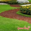 1m Width Carpet Grass Outdoor Grass Photo