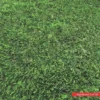 Imitation Grass Carpet 6.5ft Width Example Photo