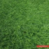 6.5ft Width Artificial Grass Roll Photo