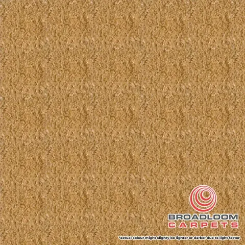 Cheap Carpet Rolls Commercial 6mm Seren Golden Grain Close Up