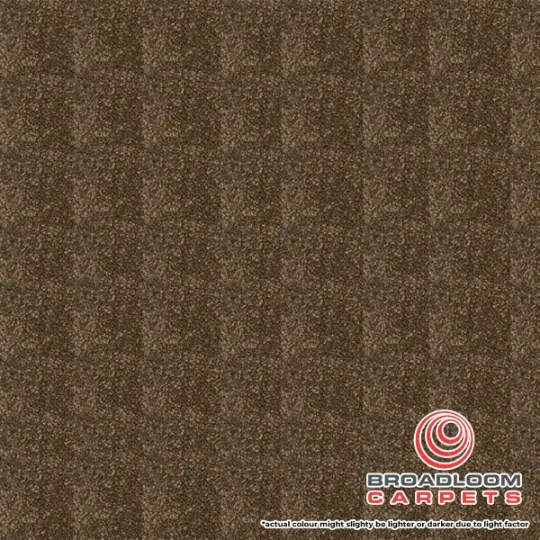 Hotel Carpet Suppliers 15mm Alicent Walnut Splendor Close Up