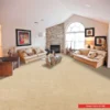 Hotel Carpet Suppliers Example Photo Color Desert Dune