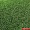 Artifical Lawn Grass Carpet 2m Width Example Photo