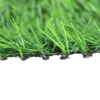 Carpet Grass 2m Close Up Side Angle