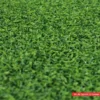 Close Up of Synthetic Turf Carpet for Sports