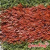 Red Carpet Grass for Sports Example Photo