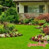 Artificial Lawn Carpet 2m Width Example Photo